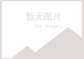 河池宛海能源有限公司